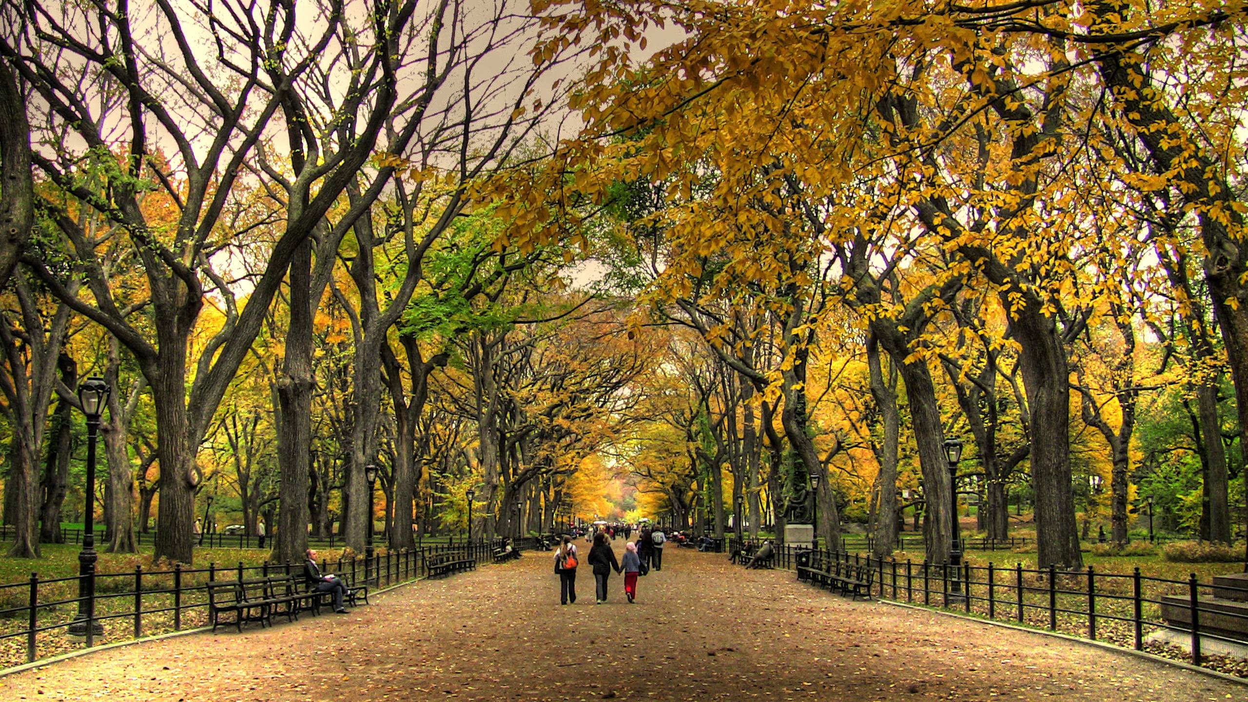 Gratuito Download immagini Central Park Wallpapers Wallpaper Cave ultima da parte di