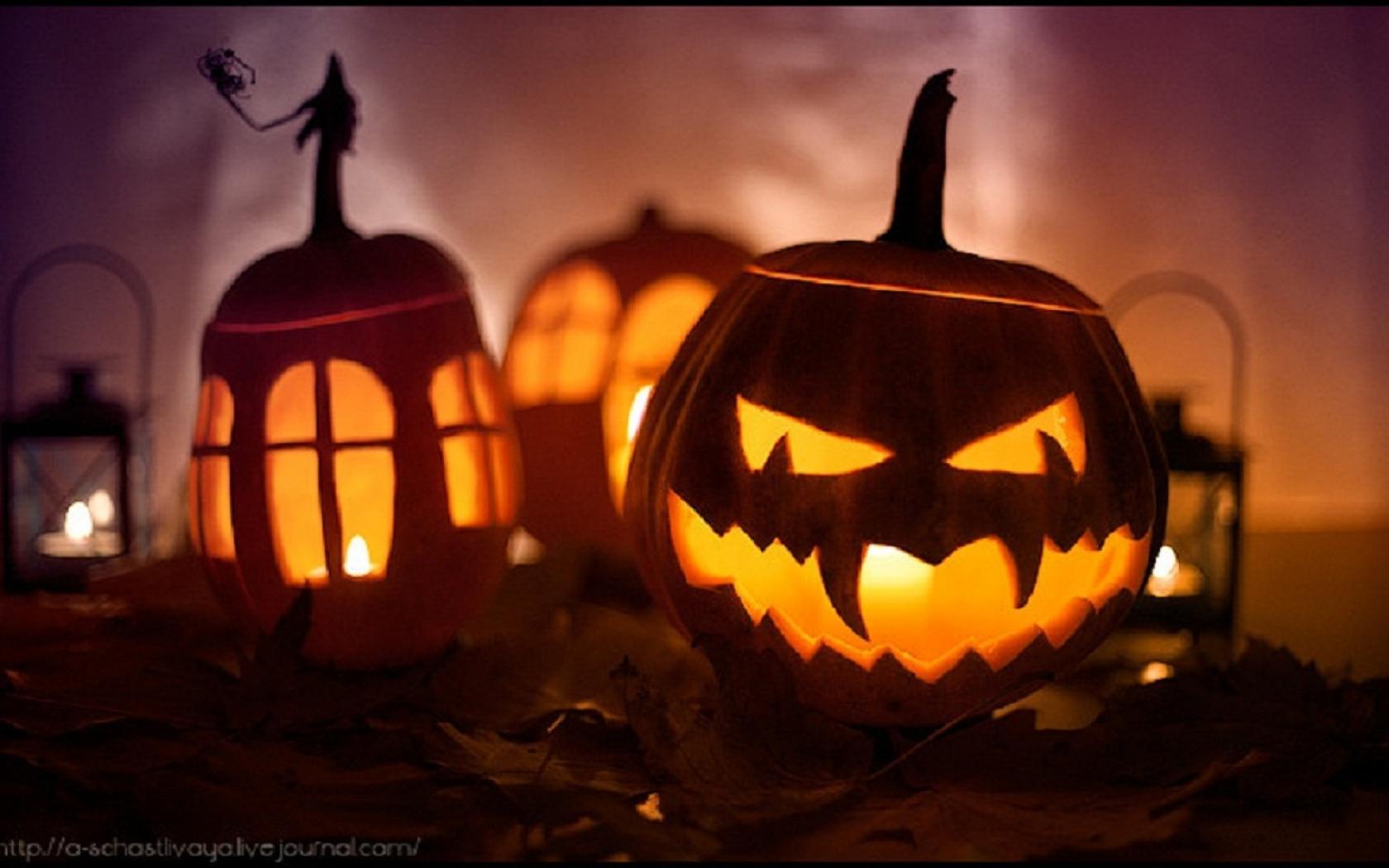 Great pumpkin wallpapers