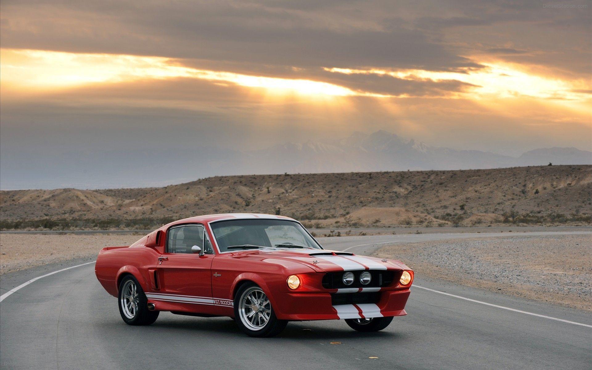 mustang wallpapers wallpaper cave
