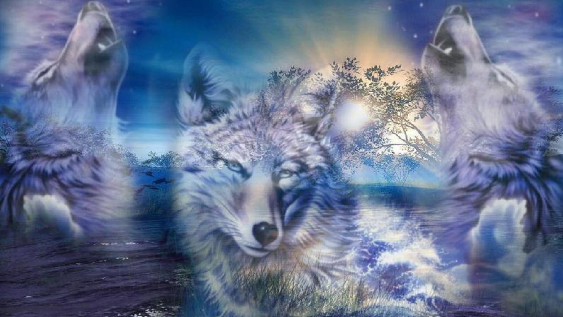 Tons of awesome wolf wallpapers for desktop to download for free. Wolves Wallpapers Desktop Wallpaper Cave
