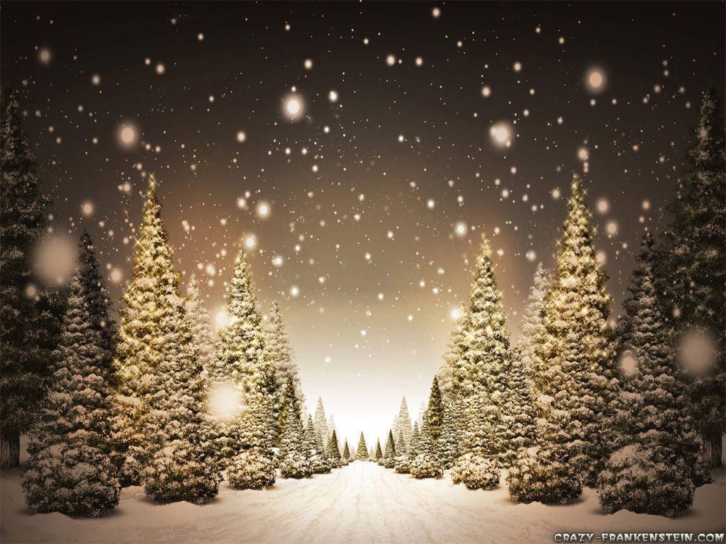 Find pictures of flowers, landscapes, animals, and more. Snowy Christmas Backgrounds Wallpaper Cave