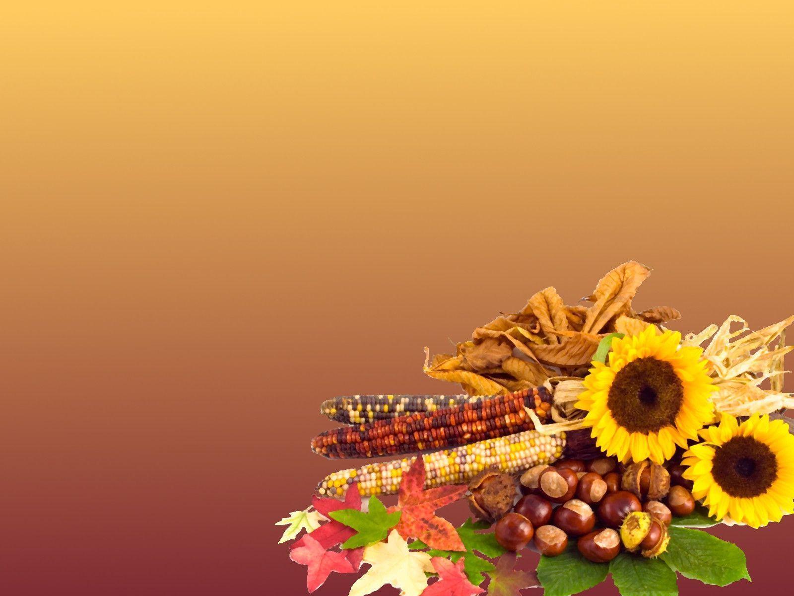Free thanksgiving screensavers wallpapers