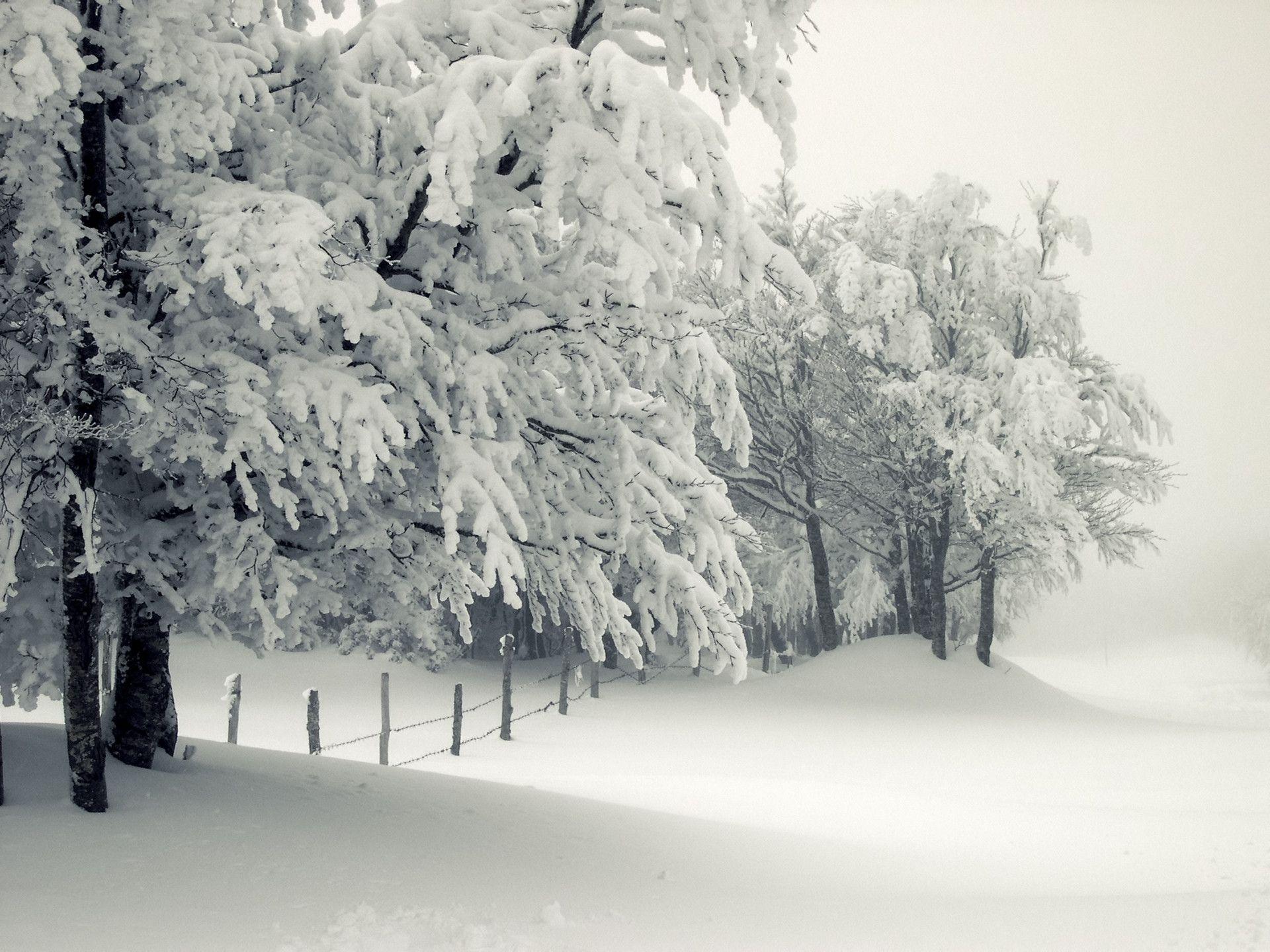 There's nothing more magical than a winter snowfall! Snow Storm Wallpapers Wallpaper Cave