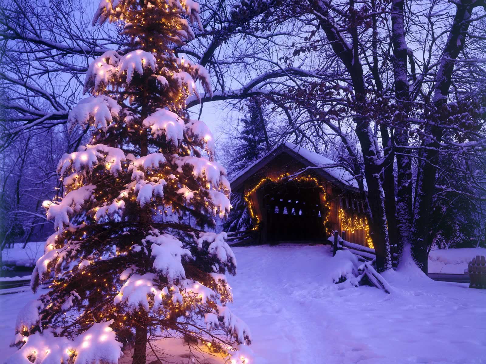 Christmas scenery wallpapers