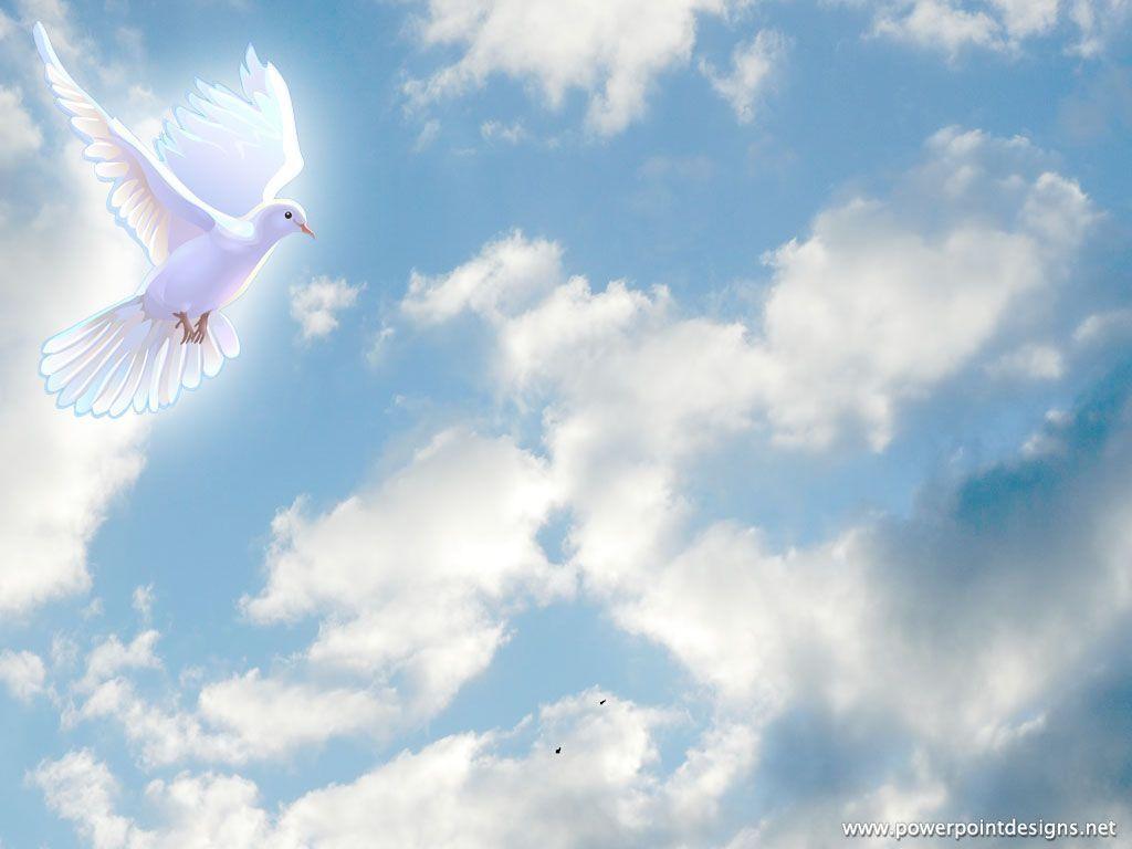 Religious backgrounds