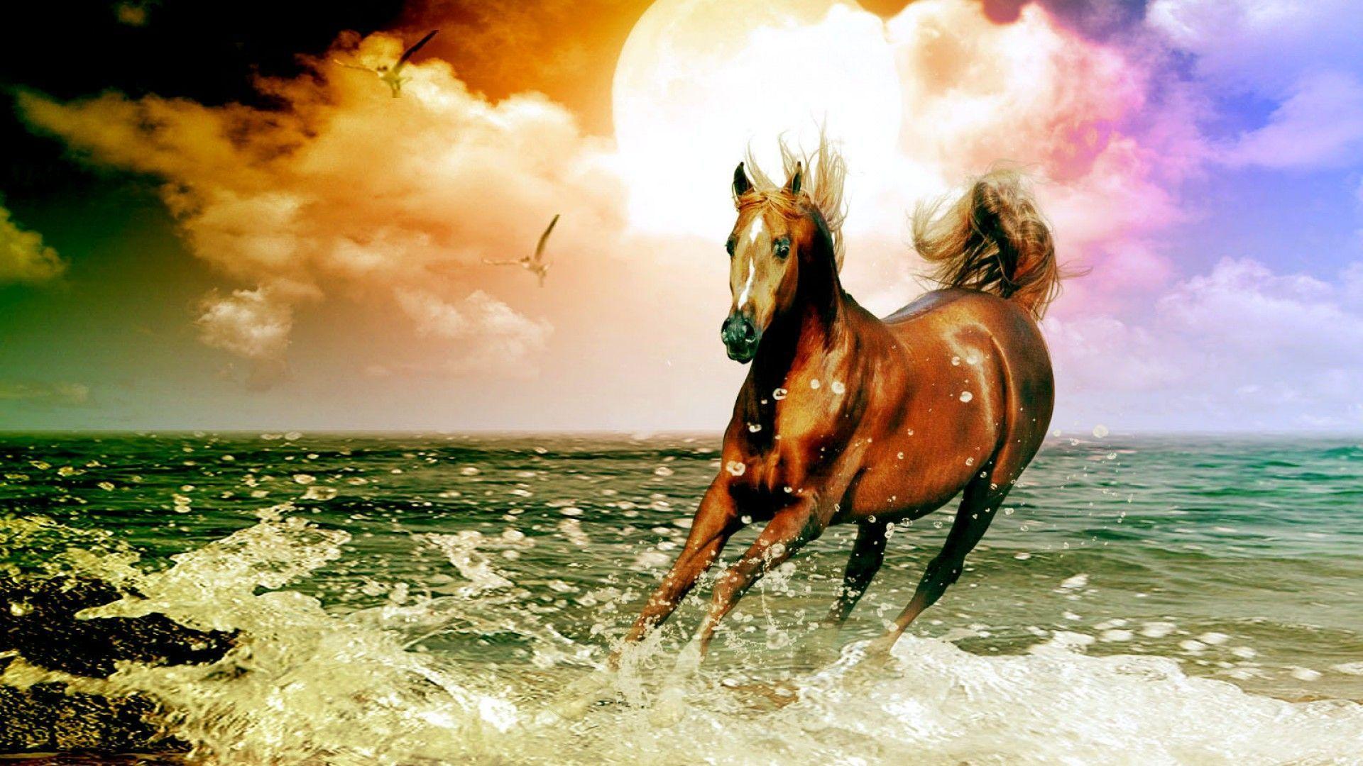 Humans have been riding horses and using them for work for millennia. Free Horse Wallpapers For Computer Wallpaper Cave