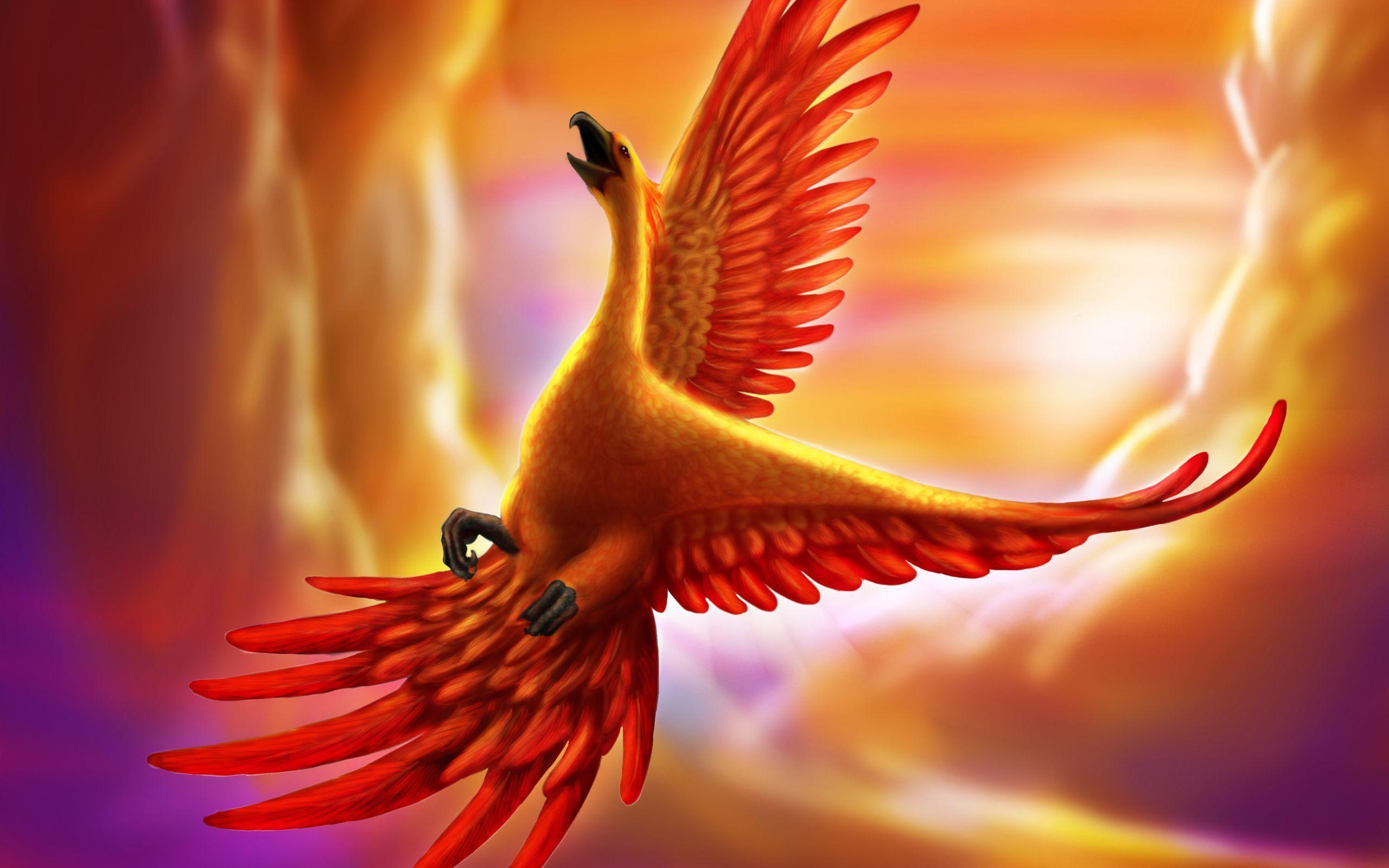 phoenix bird wallpapers wallpaper cave on blue phoenix wallpapers