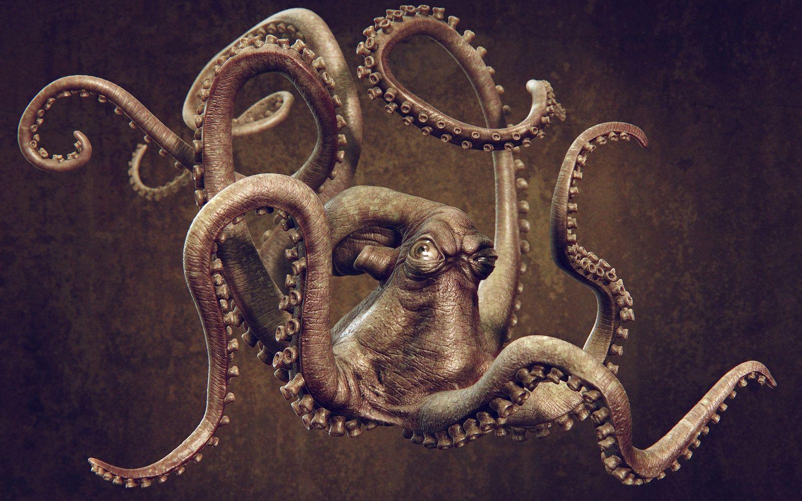Gratis Scarica immagini Octopus Wallpapers Wallpaper Cave ultima da parte di