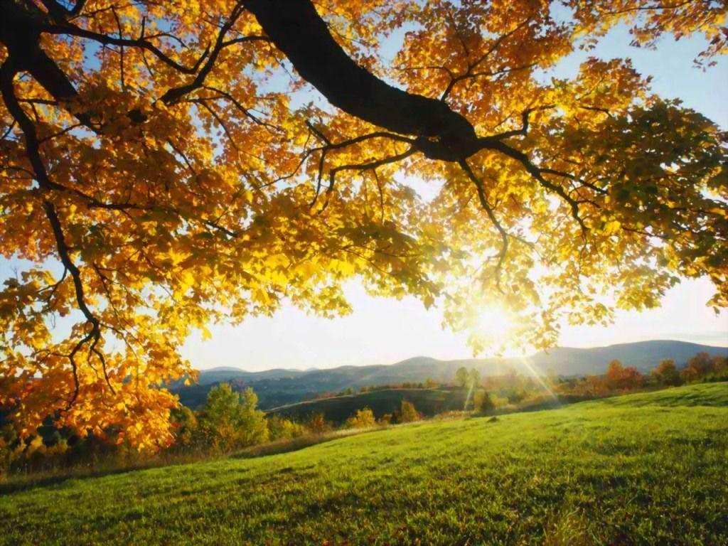 Free Gambar HD Gratis Gratis Wallpapers Home Facebook Terkeren oleh www.lampunghits.com