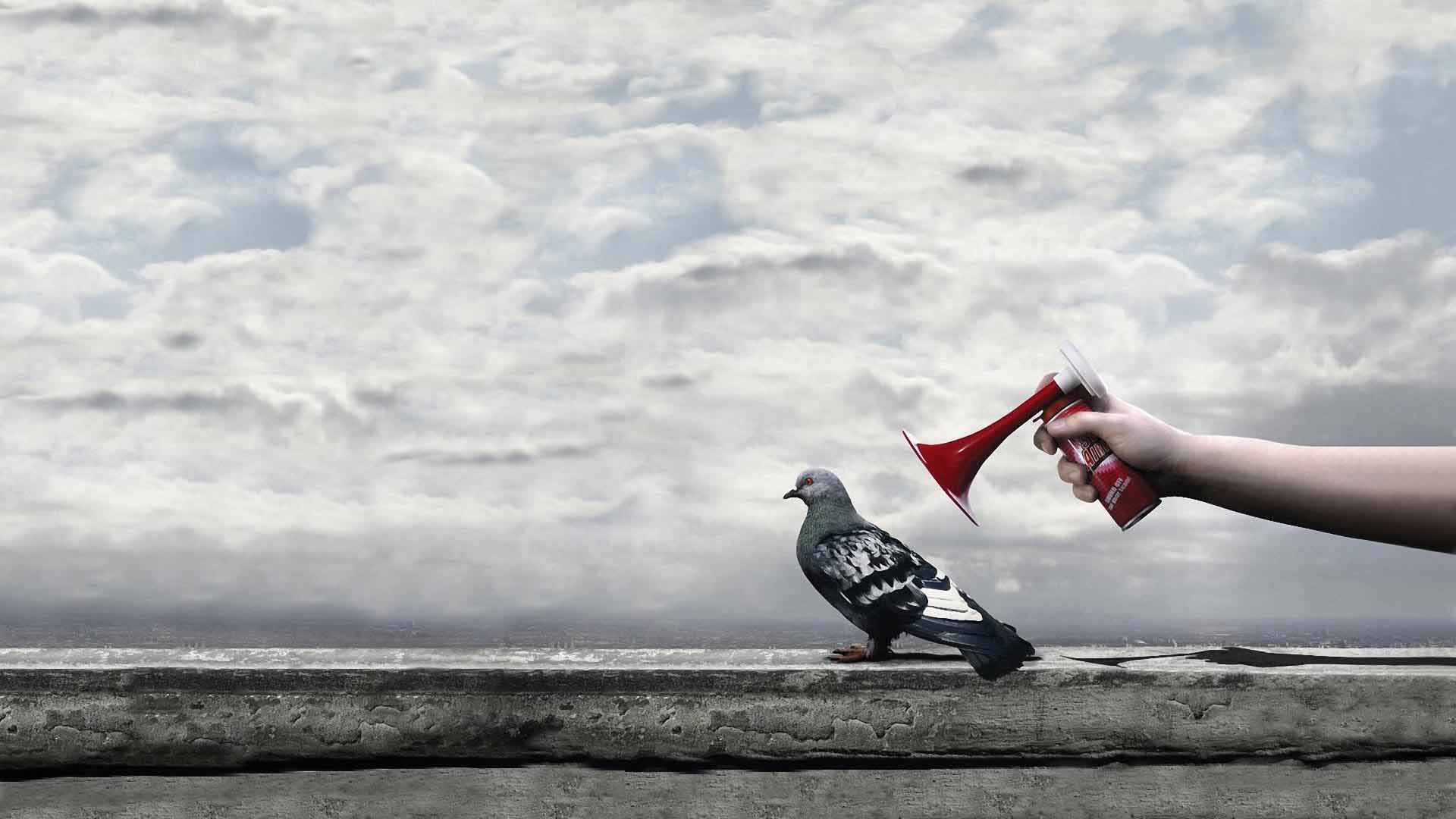 funny hd wallpapers 1080p wallpaper cave on funny pfp wallpapers