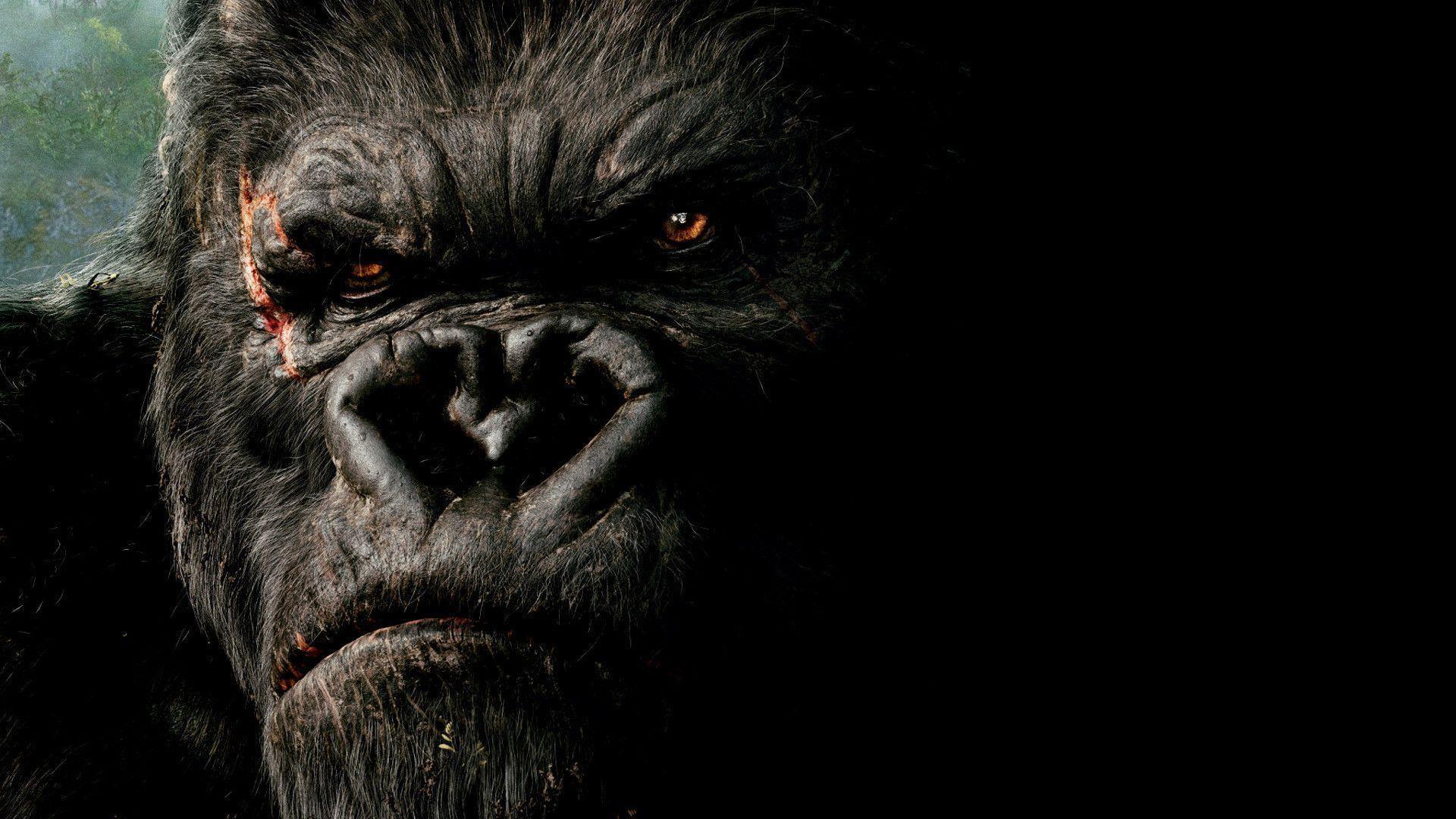king kong wallpapers wallpaper cave on king kong 2005 hd wallpapers