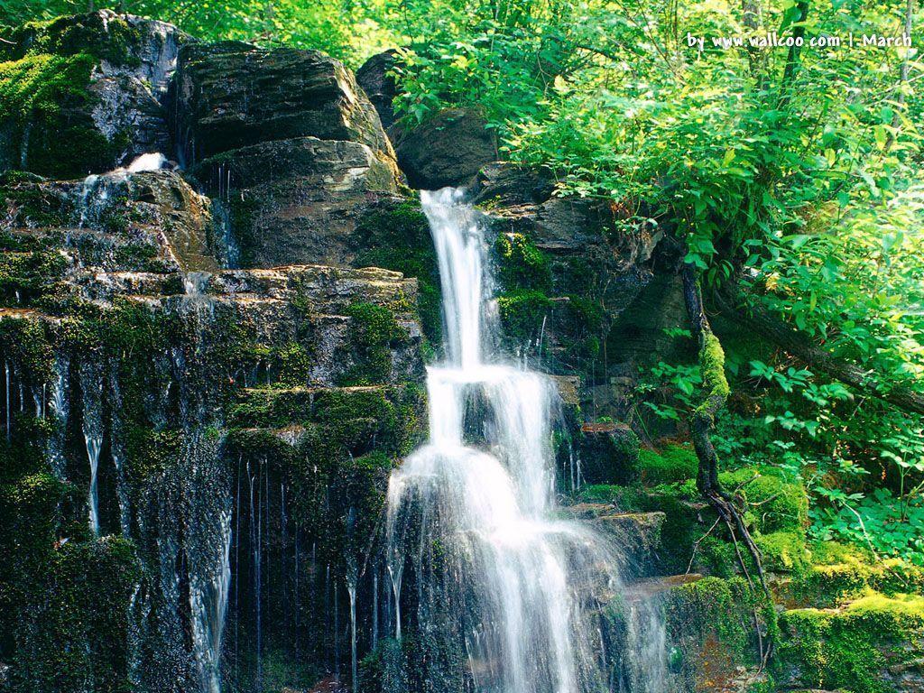 The best quality and size only with us! Free Desktop Wallpapers Spring Scenes - Wallpaper Cave