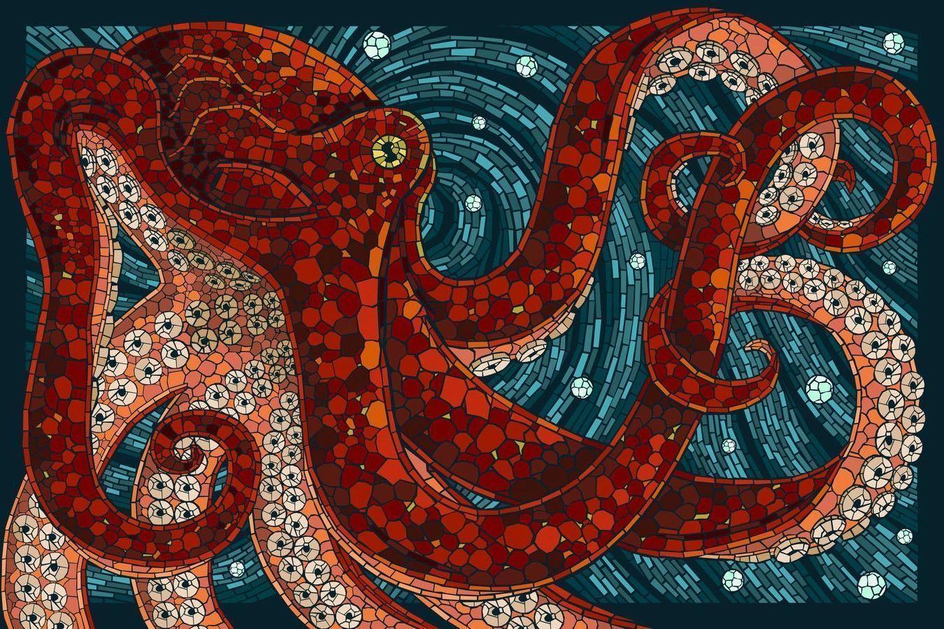 All models were 18 years of age or older at the time of depiction. Octopus Wallpapers - Wallpaper Cave