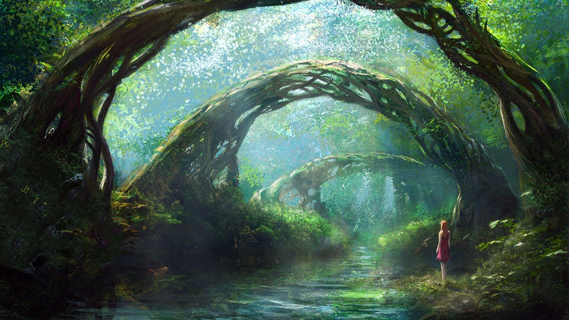 Fantasy Forest Wallpapers - Wallpaper Cave