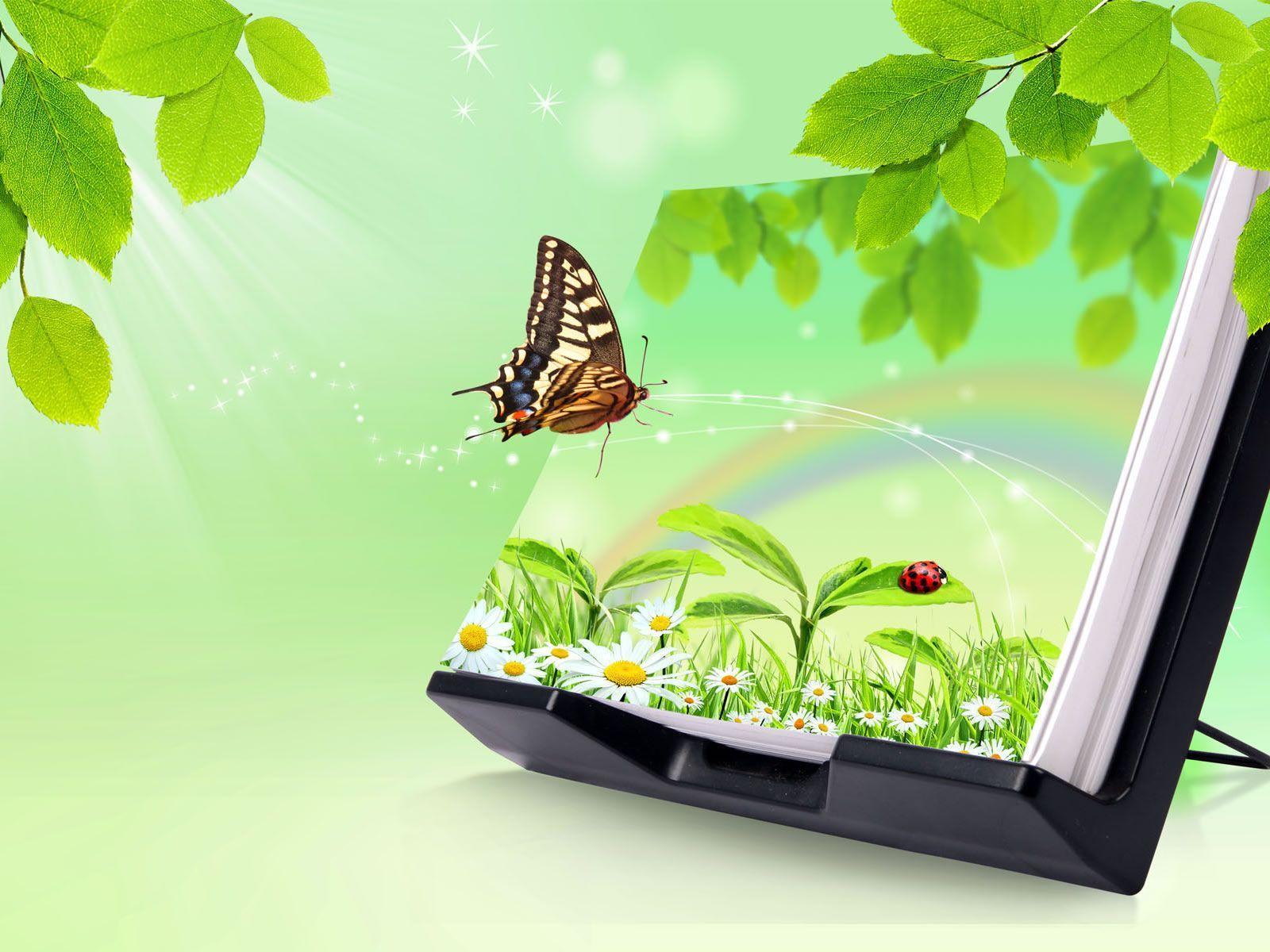 Search more hd transparent butterfly 3d images image on kindpng. 3d Butterfly Wallpapers Wallpaper Cave