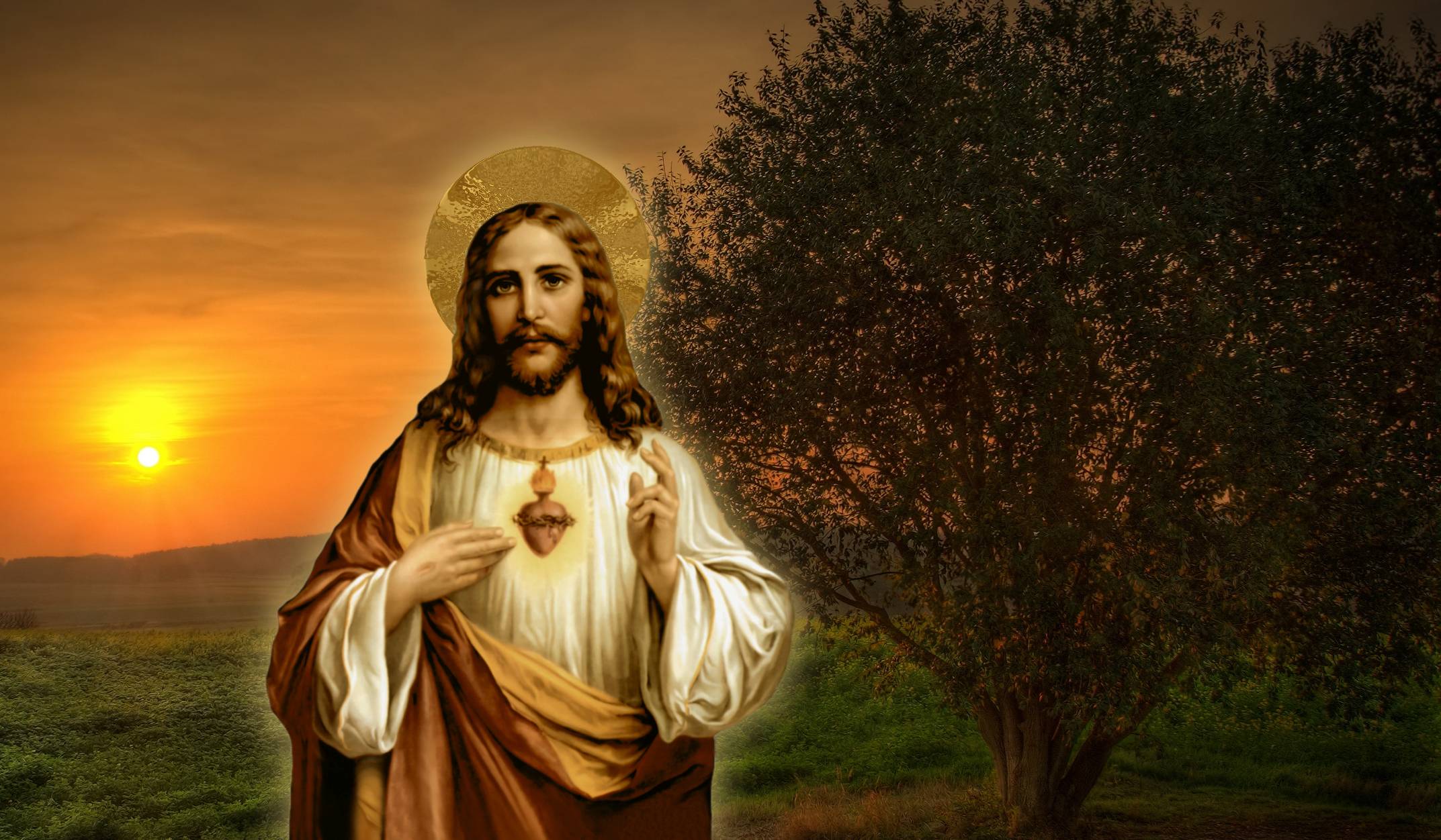 sacred heart of jesus wallpapers wallpaper cave on sacred heart of jesus wallpaper