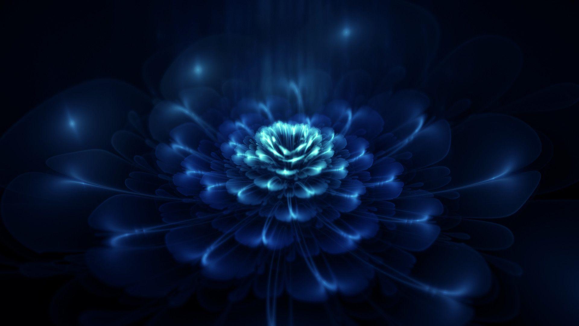 dark flower wallpapers wallpaper cave on wallpaper dark flower