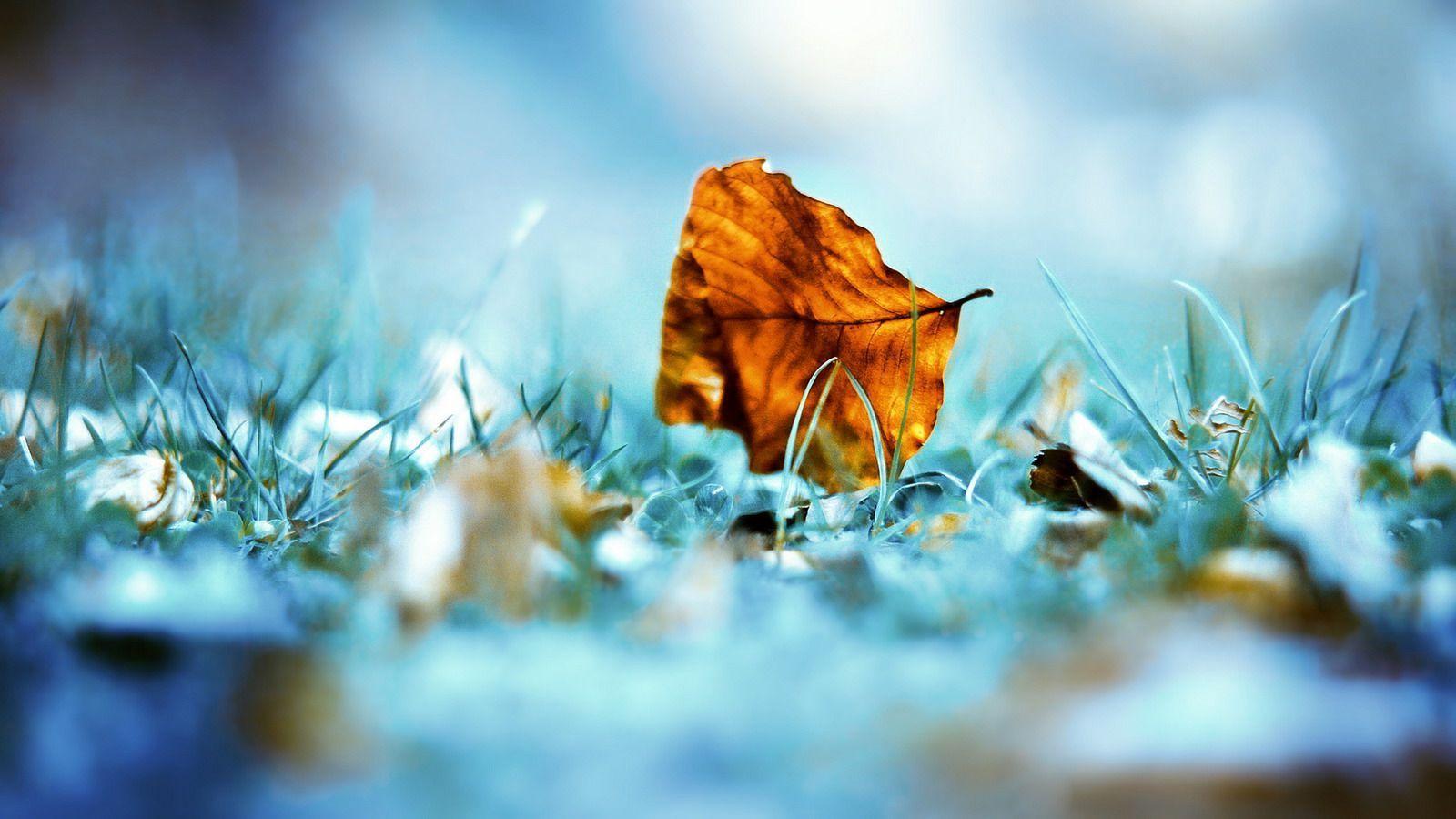Photos 40k videos 1.1k users 896. Unique Computer Backgrounds Wallpaper Cave
