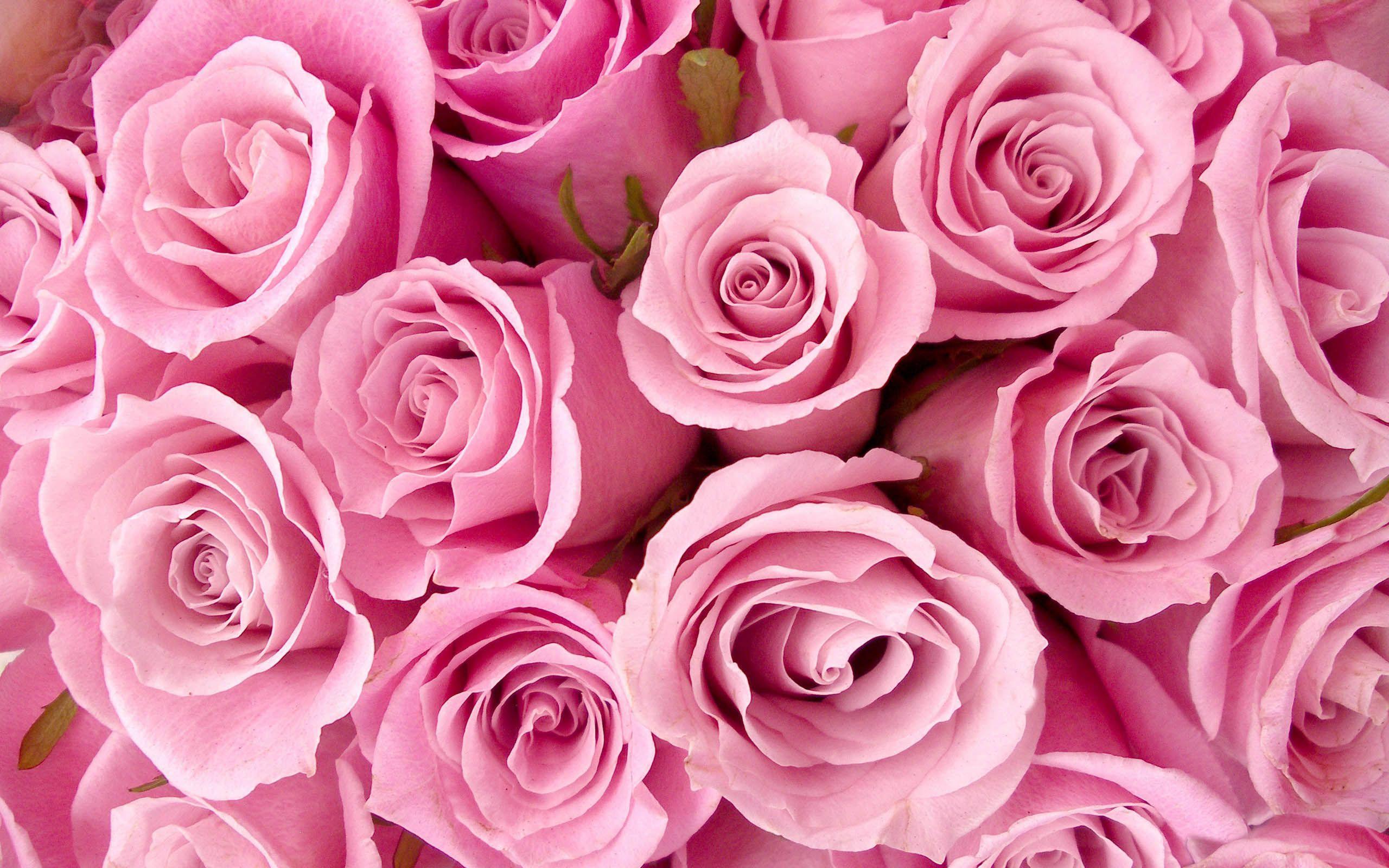 Download and use 80000+ pink flowers images for free. Pink Flowers Wallpapers Wallpaper Cave