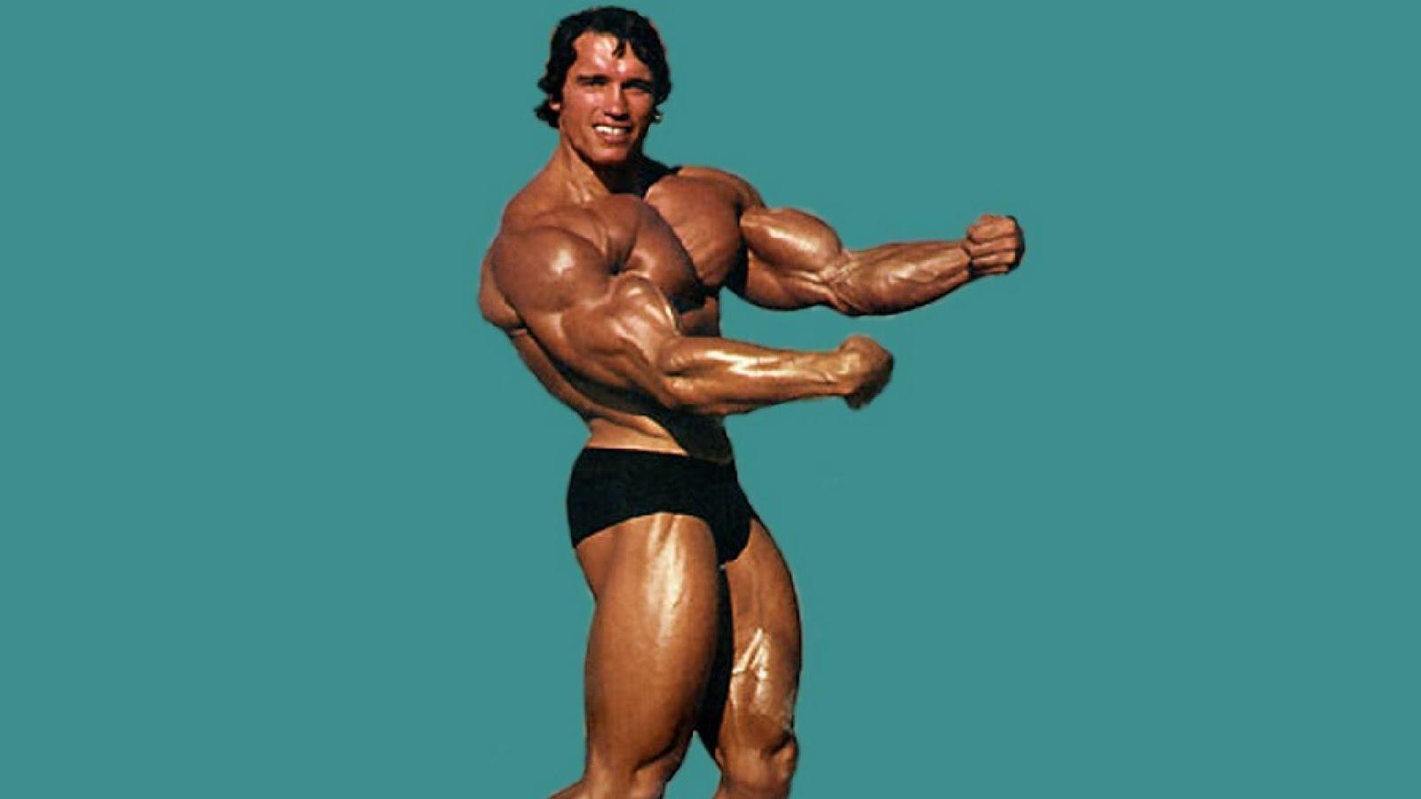 Arnold Bodybuilding Wallpapers Wallpaper Cave