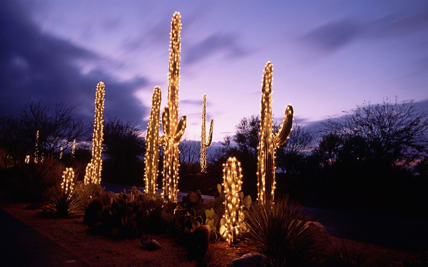 The tree includes a foot pedal for easy use. Cactus Wallpapers - Wallpaper Cave