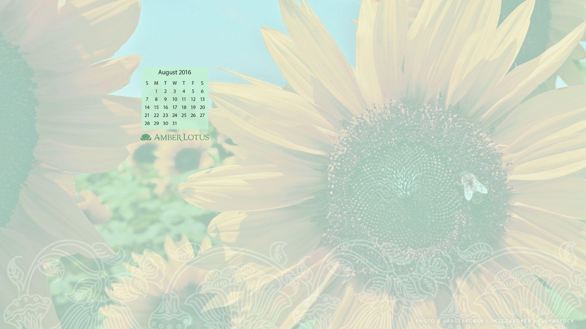 All artworks in this collection come in versions with and without a calendar for november 2017, so it's up to you to decide if you want to . Desktop Wallpapers Calendar November 2017 Wallpaper Cave