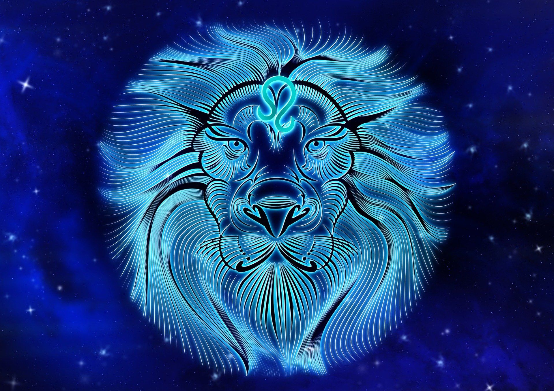 Search over 90+ million stock images, . Leo The Lion Wallpapers Wallpaper Cave