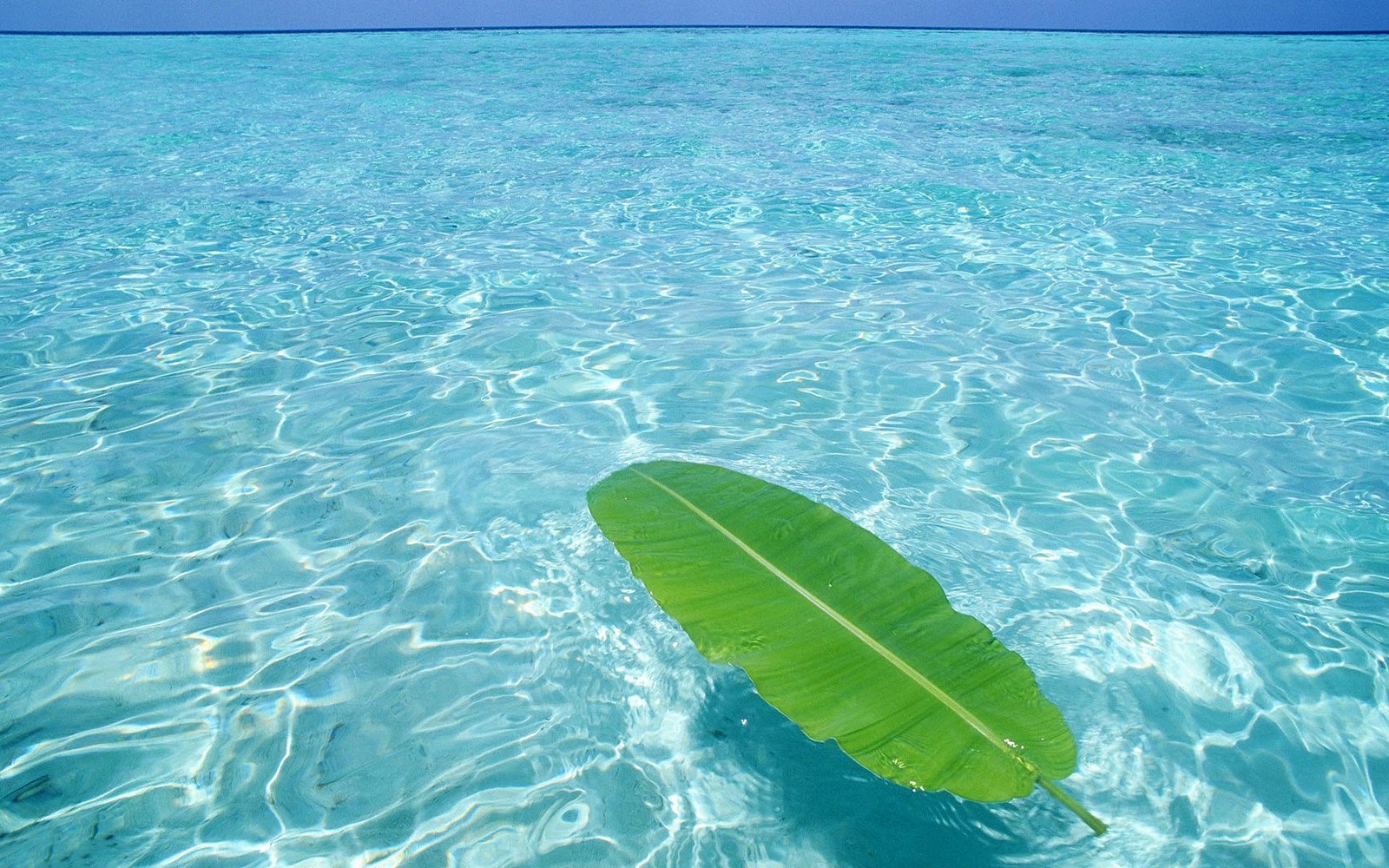 Clear ocean water hd