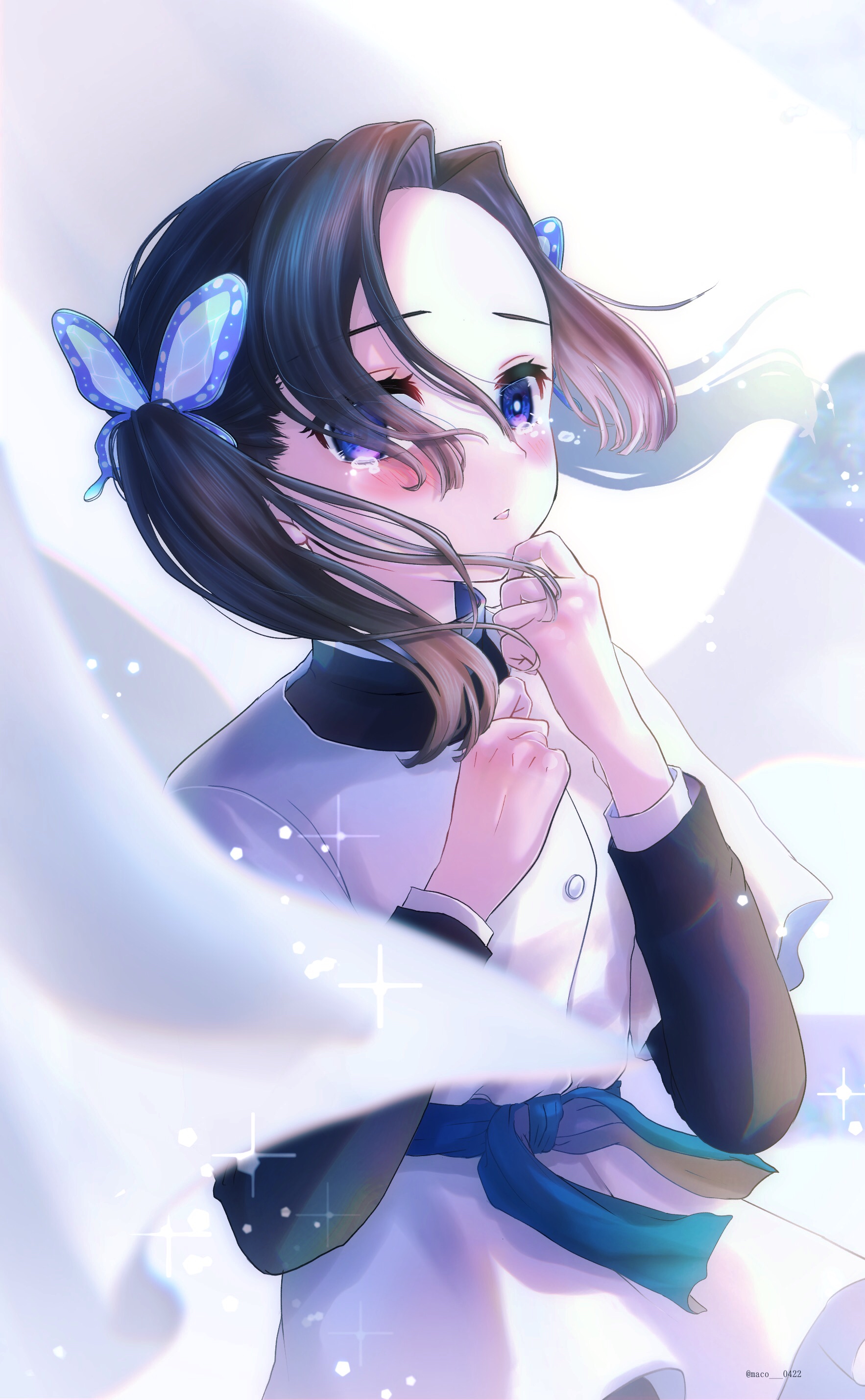 Aoi Demon Slayer Wallpapers Wallpaper Cave Wp10385498 