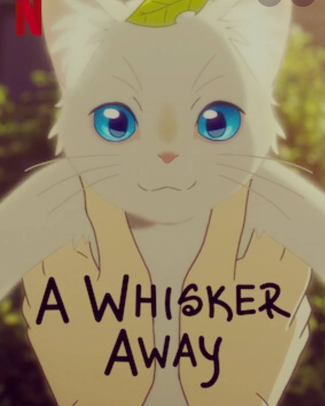 A whisker away cat wallpapers