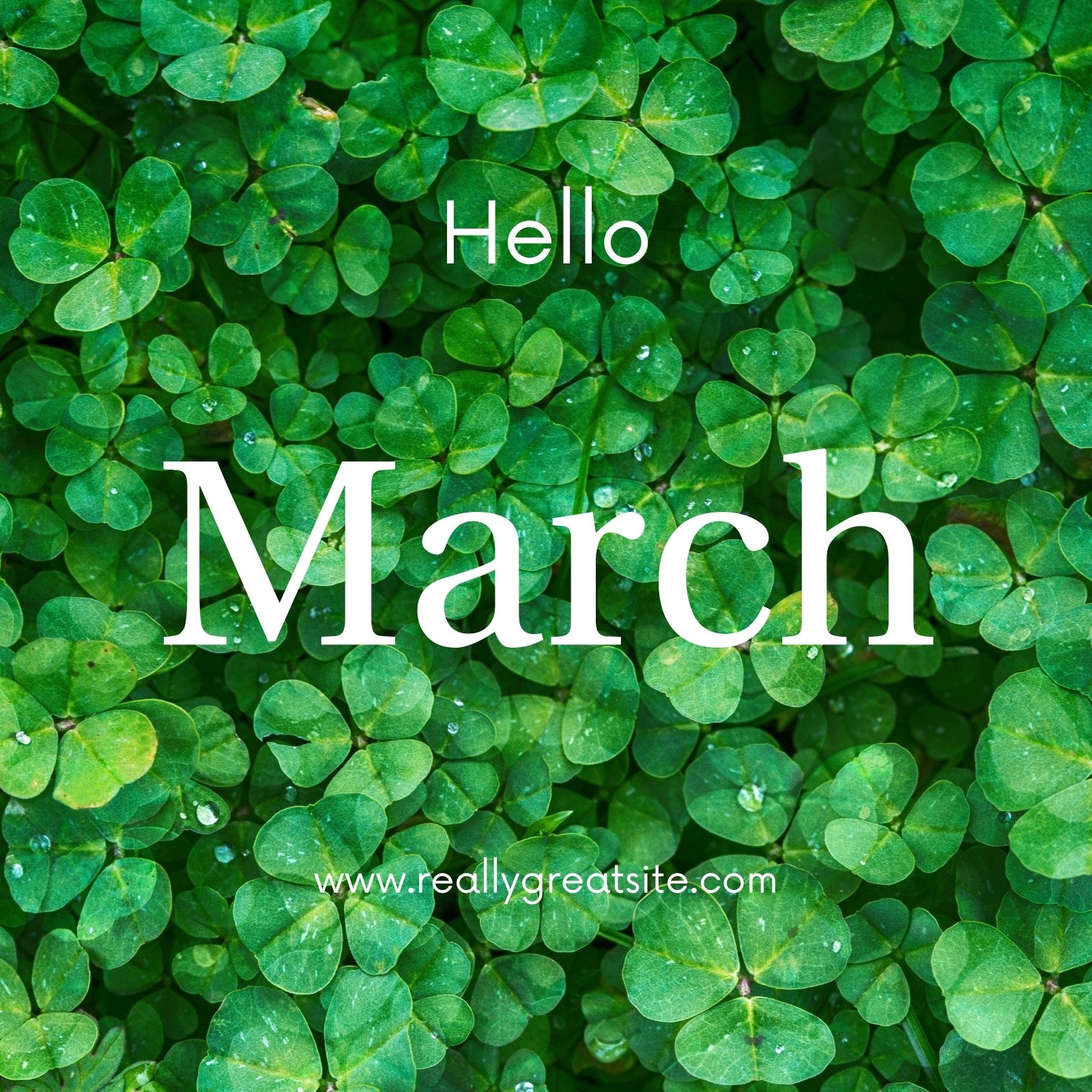 Hello march wallpapers