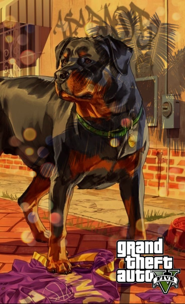 Chop GTA Wallpapers Wallpaper Cave Wp14052257 