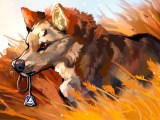 Therian Wolf Wallpapers Wallpaper Cave