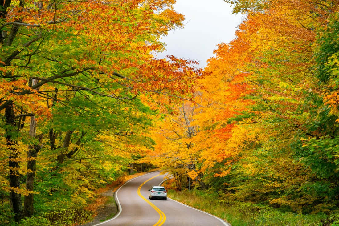 Autumn Road Trips Wallpapers Wallpaper Cave Wp14381510 