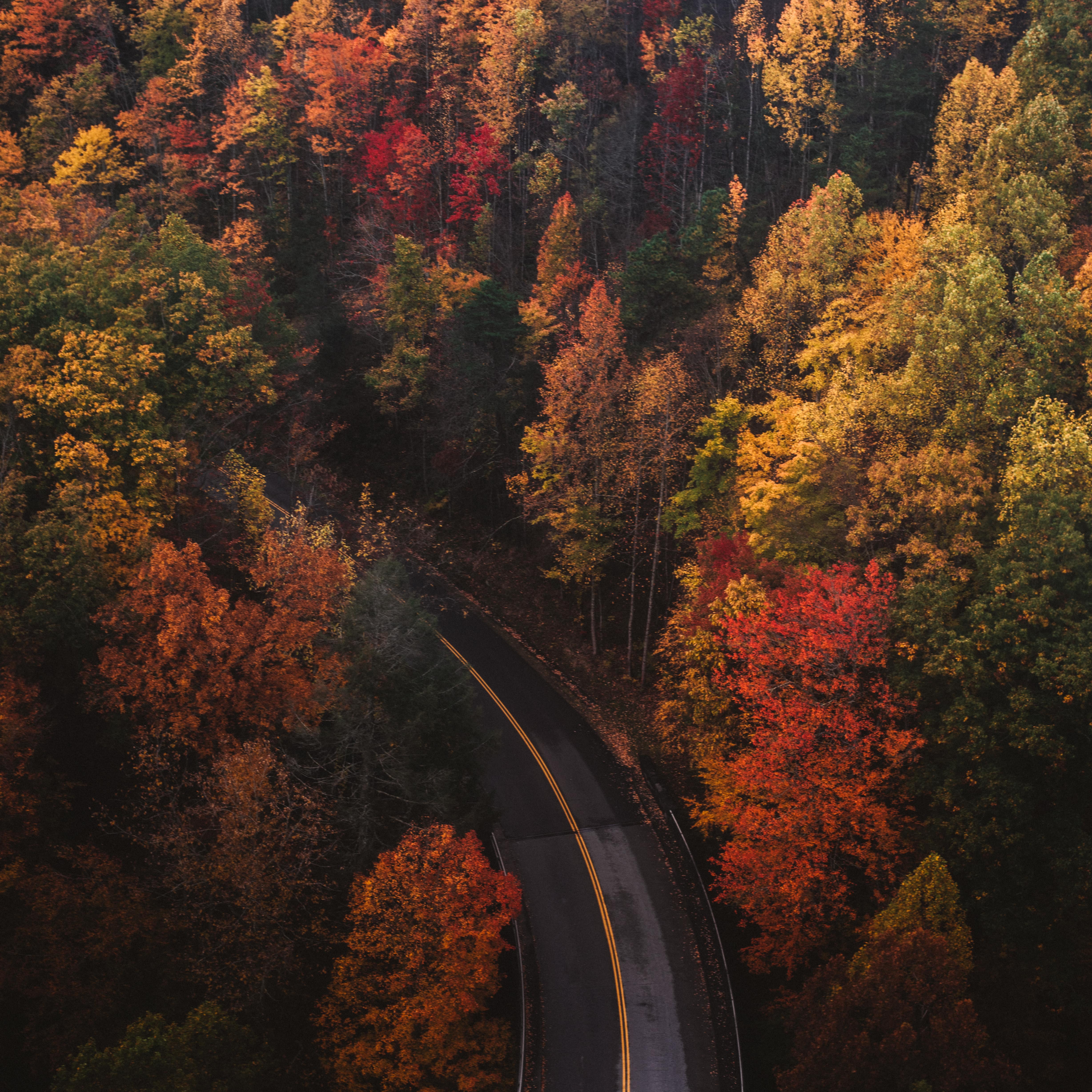 Autumn Road Trips Wallpapers Wallpaper Cave Wp14382141 