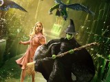Wicked Elphaba Wallpapers Wallpaper Cave