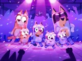 Funny Bluey Wallpapers Wallpaper Cave