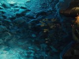 Exotic Iphone Wallpapers Wallpaper Cave