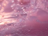 Exotic Iphone Wallpapers Wallpaper Cave