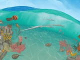 Cambrian Wallpapers Wallpaper Cave