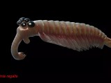 Cambrian Wallpapers Wallpaper Cave