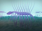 Cambrian Wallpapers Wallpaper Cave