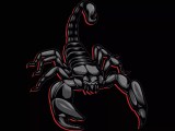 Scorpion Animal Wallpapers Wallpaper Cave