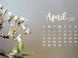 April 2025 Calendar Wallpapers Wallpaper Cave