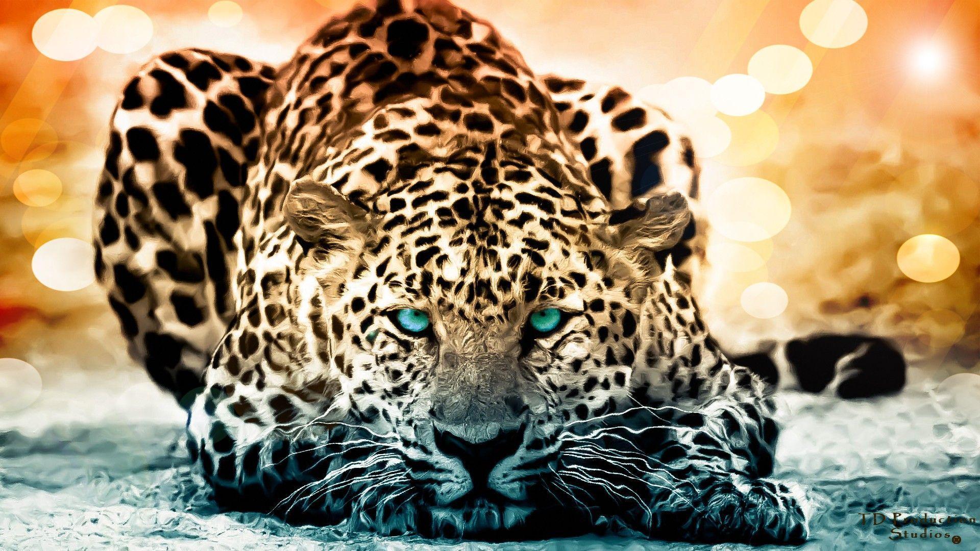 Jaguar wallpapers