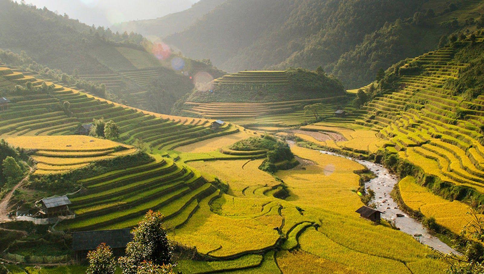 Here's how to mix your favorite photos into a desktop theme. Vietnam Wallpapers Wallpaper Cave