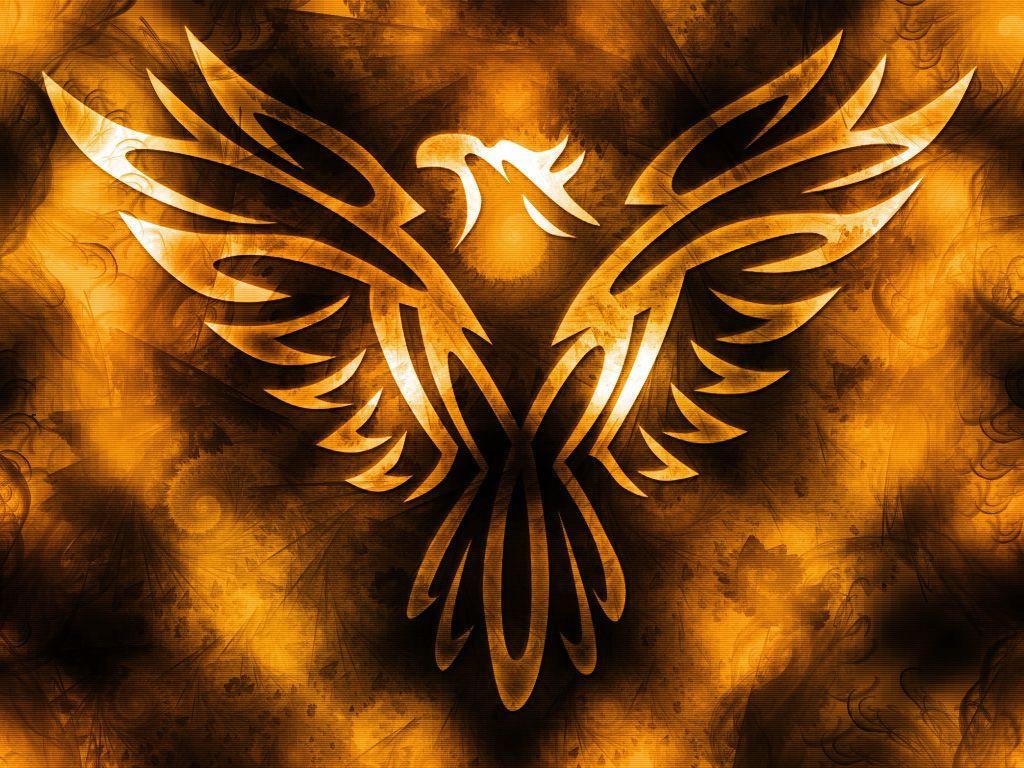  on ave fenix wallpapers