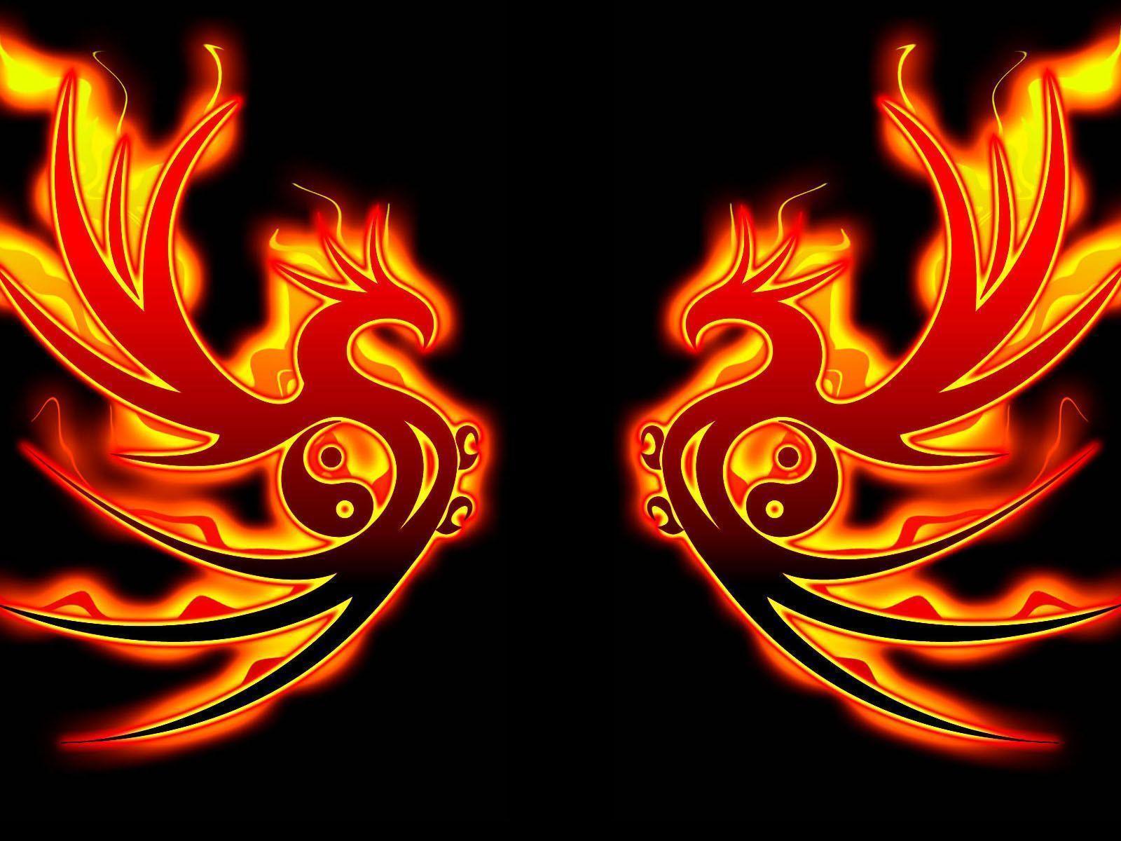  on ave fenix wallpapers