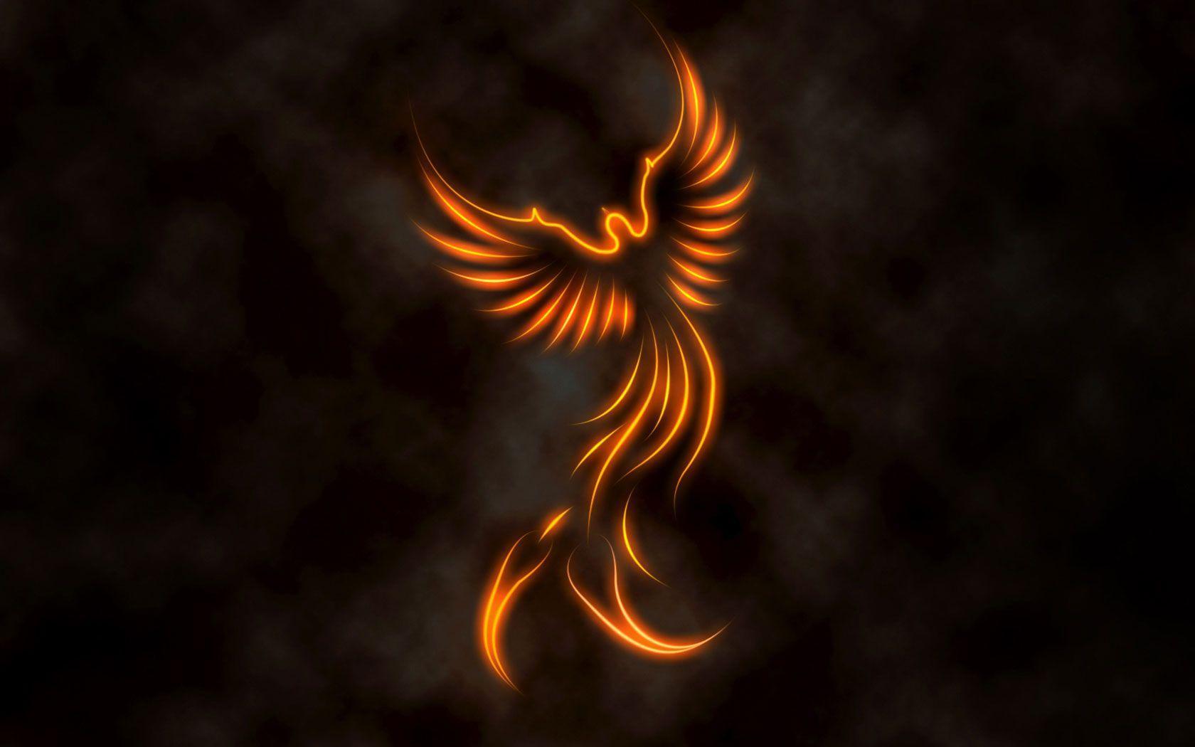  on ave fenix wallpapers