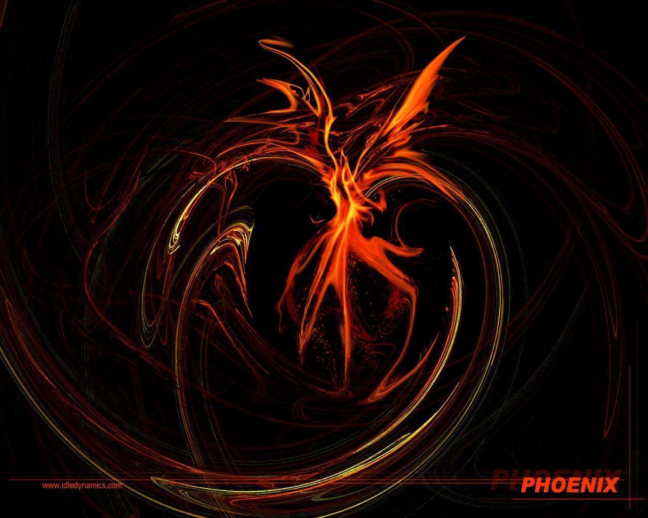  on ave fenix wallpapers